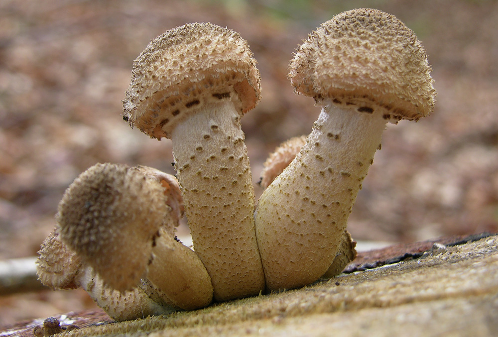 Svuotando l''archivio 2009...parte1